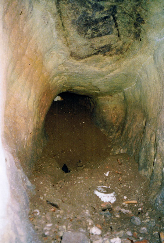 Gera Chronik - Bildergalerie - Neue Bilder